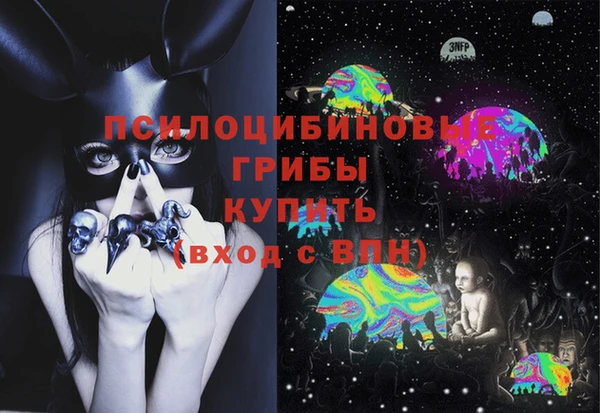 МДПВ Ладушкин